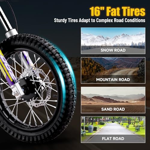 36V 1000W Electric Dirt Bike, 16" Tire, Purple L9373