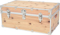 Large Trunk Y831
