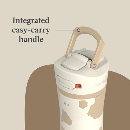 24oz Stainless Steel Water Bottle with Straw & Handle Dual Insulated (Pack of 2) Y310