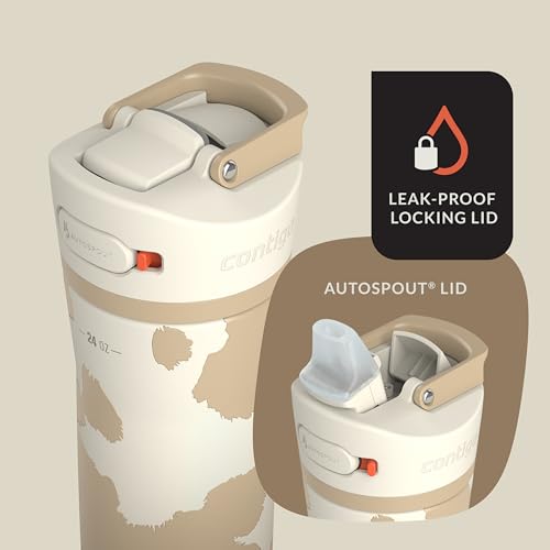 24oz Stainless Steel Water Bottle with Straw & Handle Dual Insulated (Pack of 2) Y310