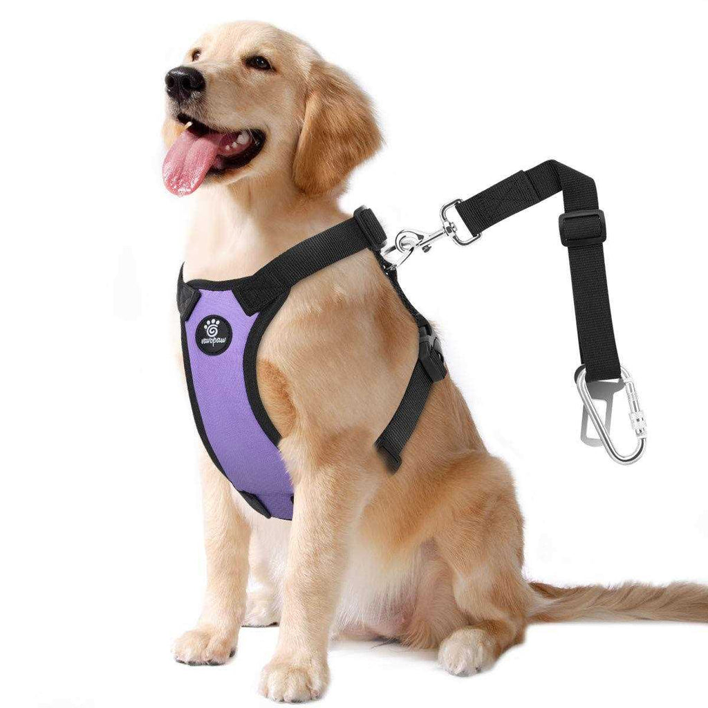 Adjustable Soft Padded Mesh Dog Safety Vest Harness with Travel Strap and Carabiner F22313