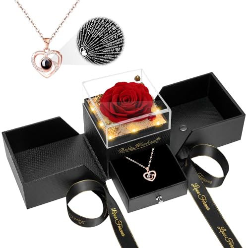 Preserved Red Rose Flower with Necklace and Light A868