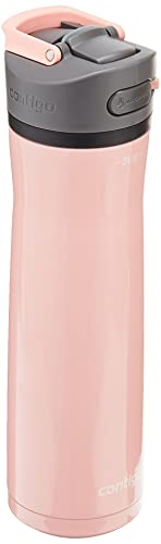 24oz Stainless Steel Water Bottle with Straw & Handle Dual Insulated (Pack of 2) Y310