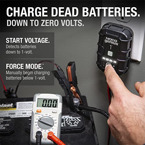 1A 6V/12V Smart Battery Charger D225