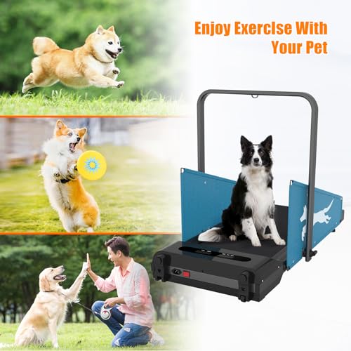 Dog Treadmill Pet Running Machine SlatMill for Small Medium-Sized Dogs Pet Fitness Treadmill Easy to Move 220 LBS O147