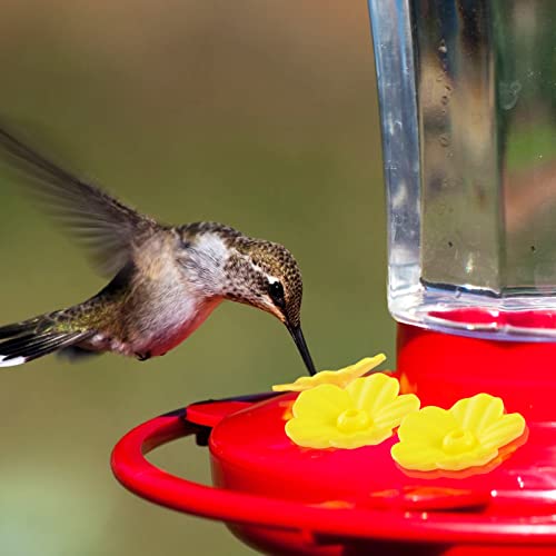 38 Pcs 3 Size Hummingbird Feeder Cleaning Brush with Replacement Flowers Feeding Ports Y13781