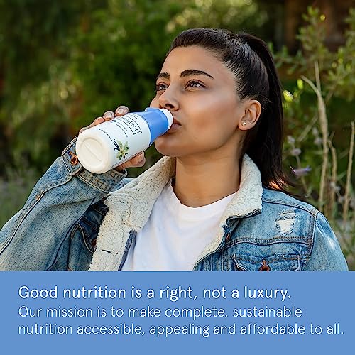 Gingerbread Plant Based Protein Drink, 11oz (12 Pack) D7633
