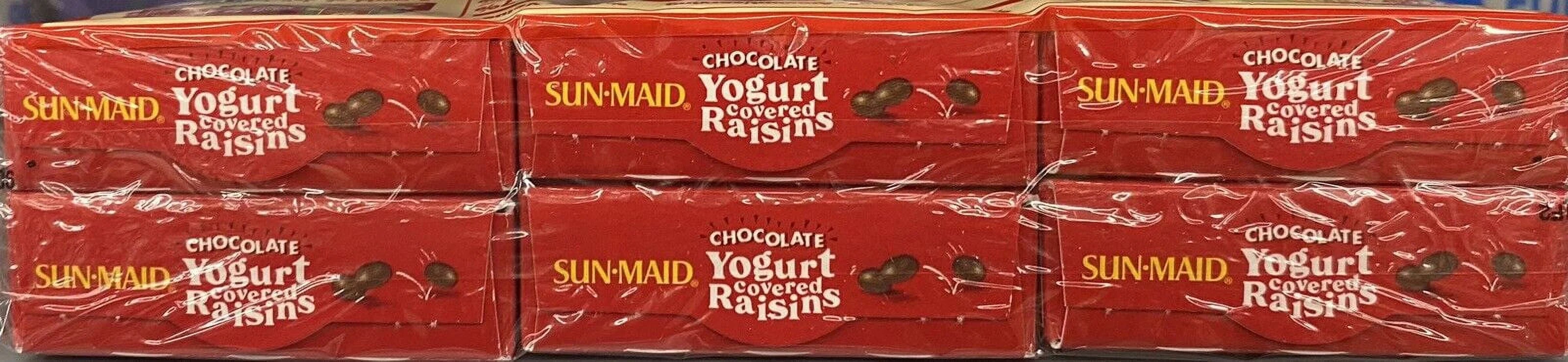 6 Pack Chocolate Yogurt Covered Raisins O83676