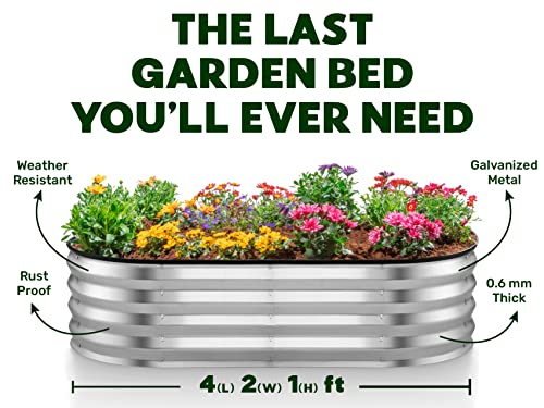 8×4×1 ft 2-Pack Galvanized Metal Raised Garden Bed P910