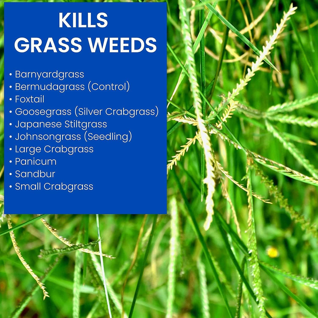 32 oz Ready-to-Spray Bermudagrass Control T245022