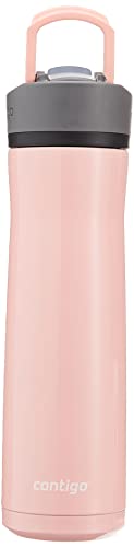 24oz Stainless Steel Water Bottle with Straw & Handle Dual Insulated (Pack of 2) Y310