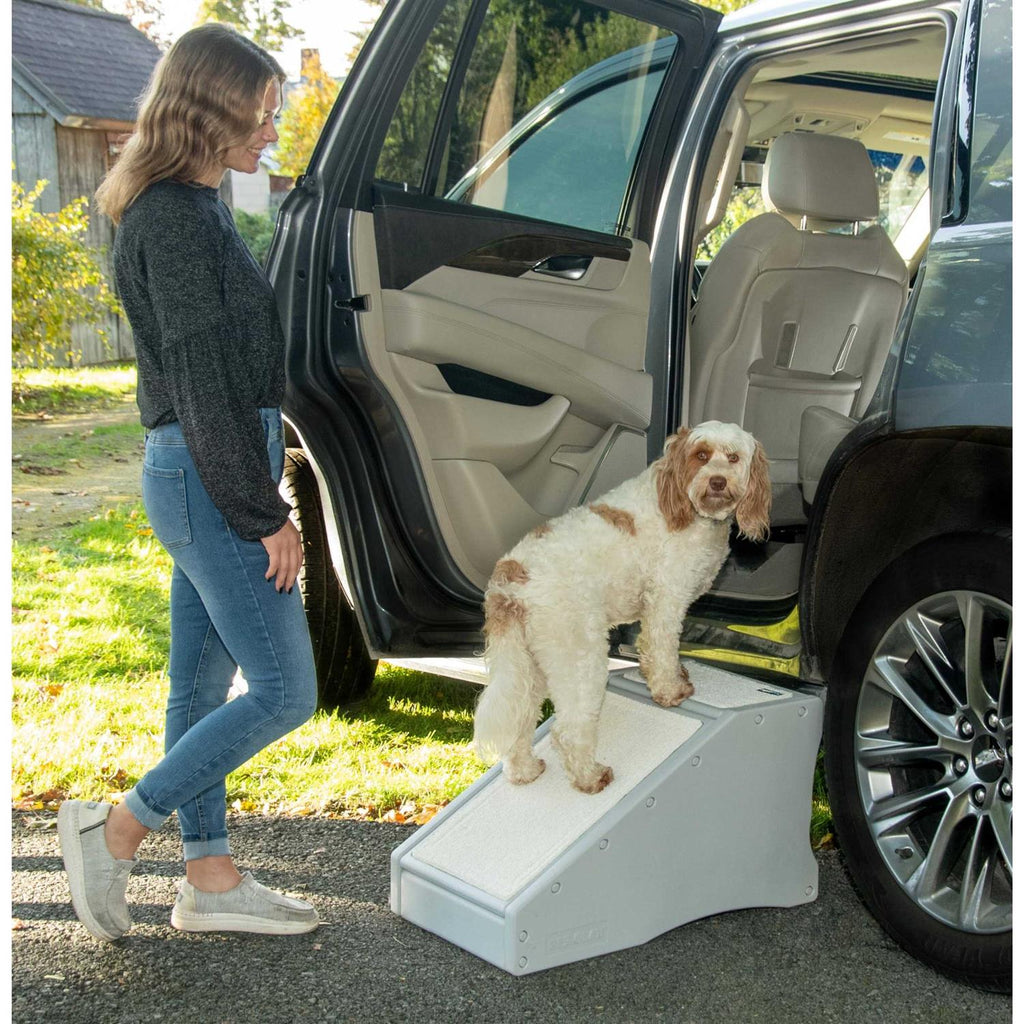 Pet Gear Step / Ramp Combination V516