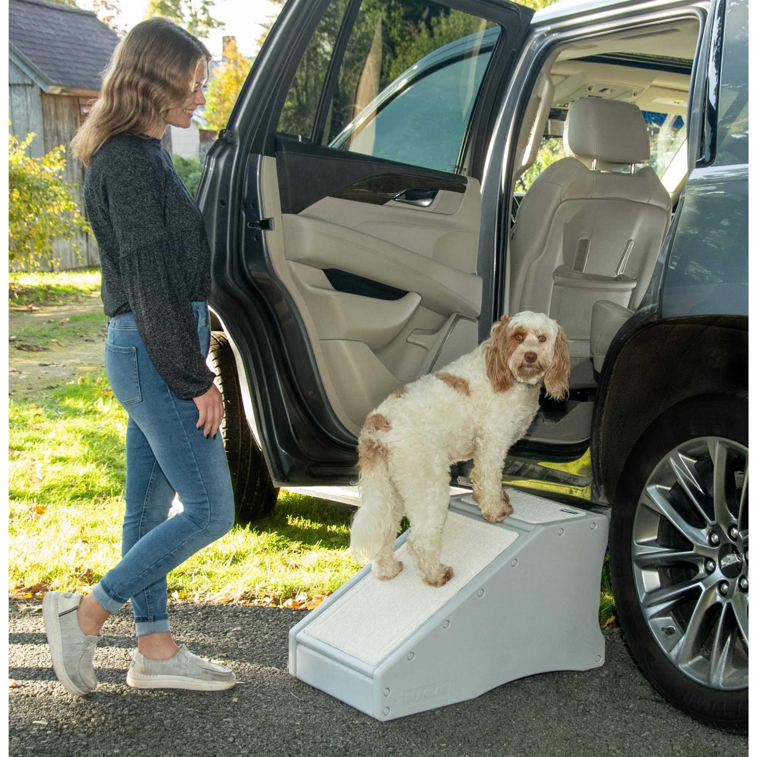 Pet Gear Step / Ramp Combination V516
