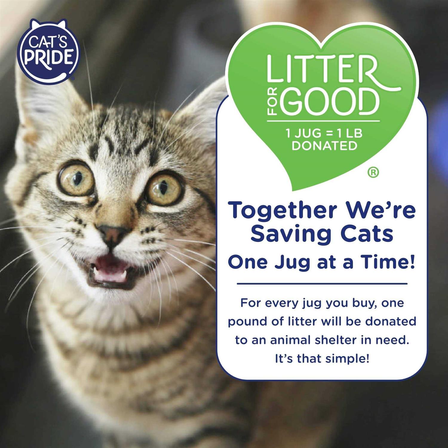 Multi-Cat Clumping Litter M923