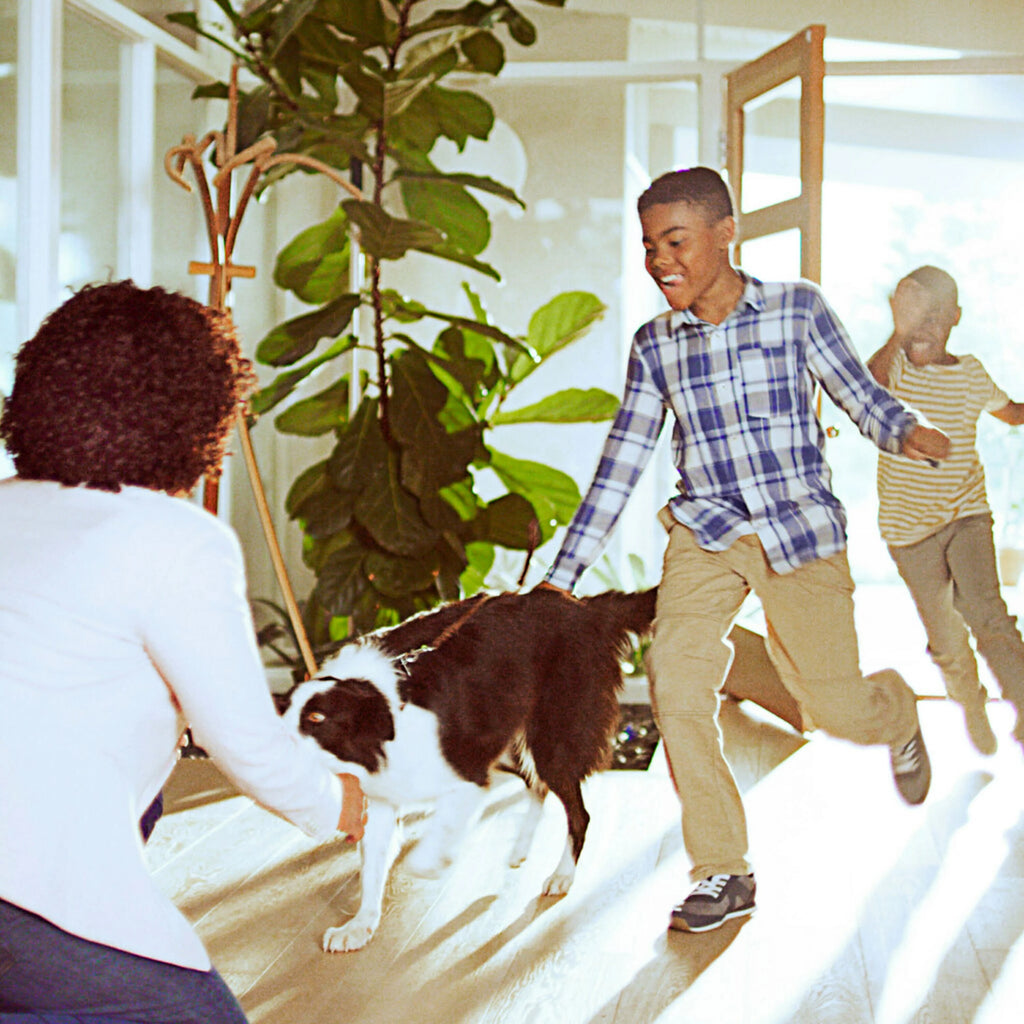 White True HEPA Air Purifier B849