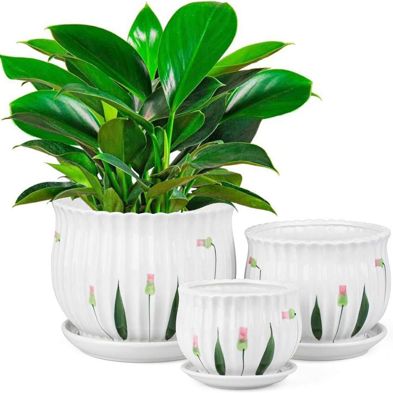 Set of 3 Ceramic Plant Pots with Drainage and Saucer H557449