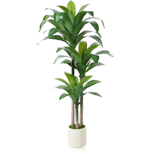 5ft Artificial Dracaena Tree with White Planter G360