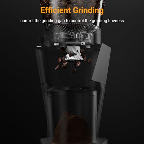 Electric Conical Burr Coffee Grinder Stainless Steel with Digital Timer Display Y49349