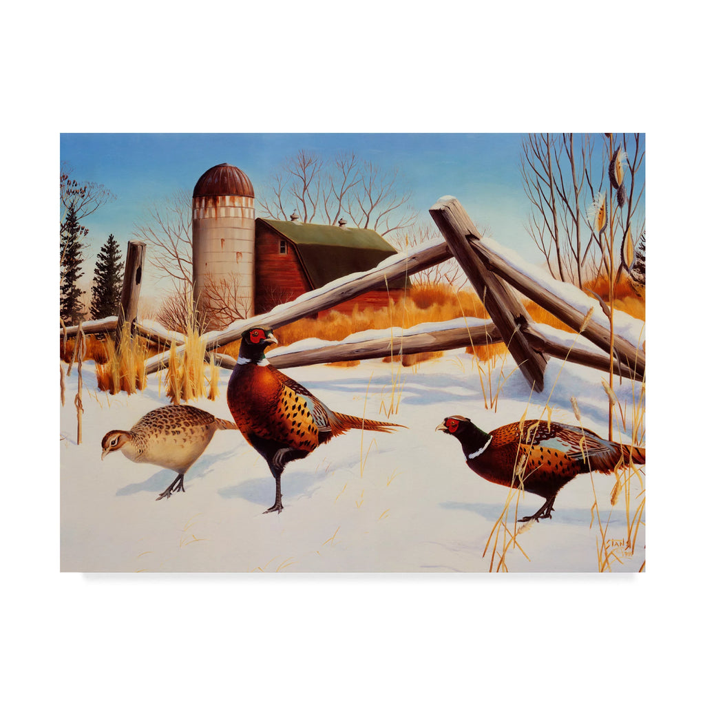 Canvas Art by Leo Stans R8335