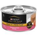 Senior Wet Cat Food E240252