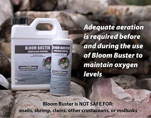 64oz Fast Acting Algaecide H7230