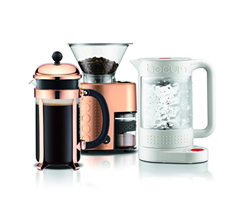 White 17oz Electric Water Kettle Q977381