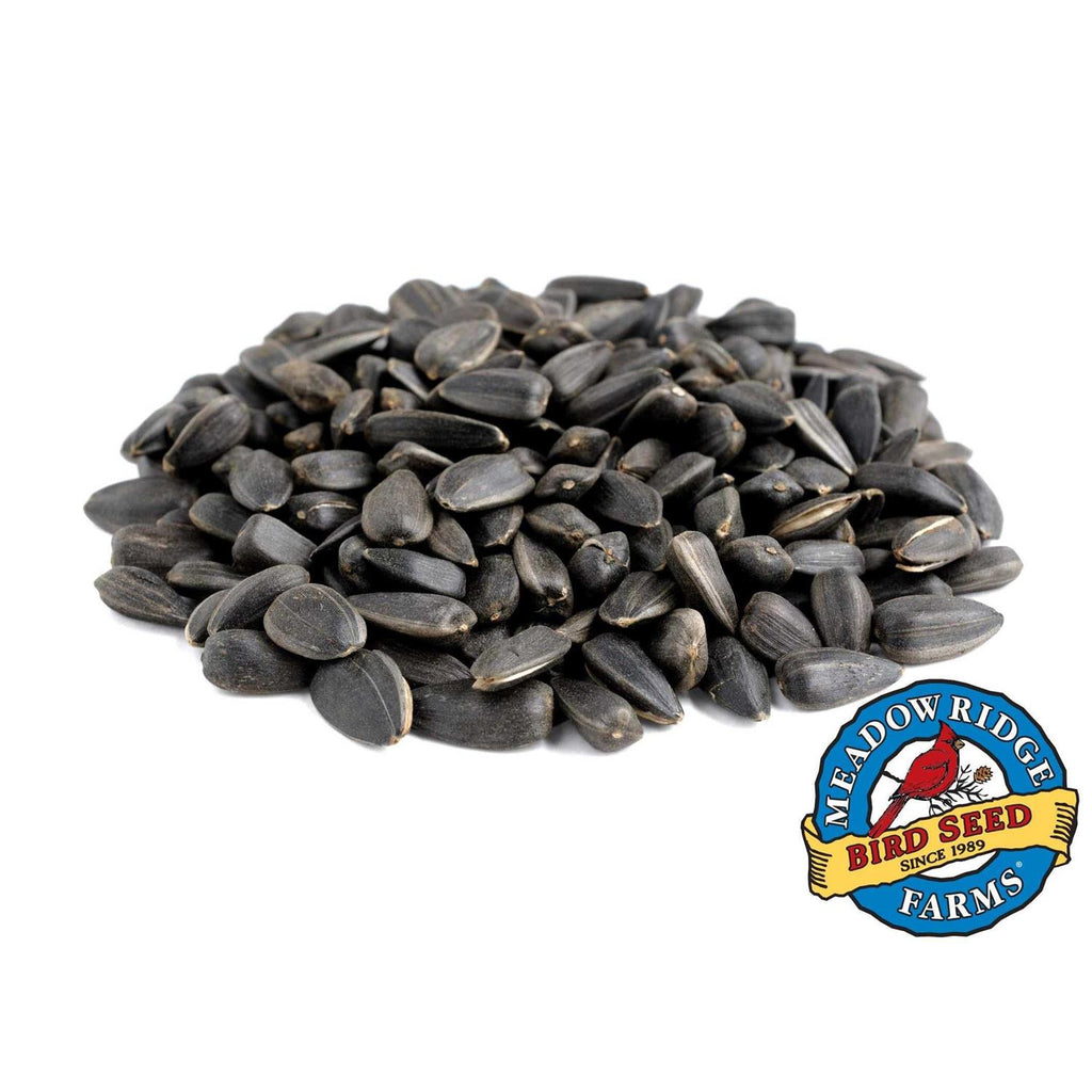 20-Lb. Black Oil Sunflower Bird Seeds L845198
