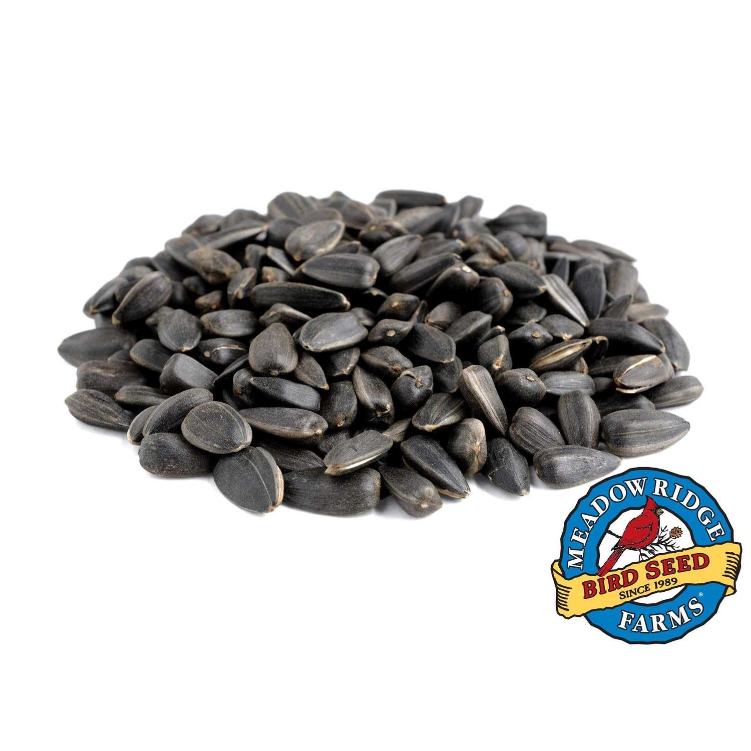 20-Lb. Black Oil Sunflower Bird Seeds L845198