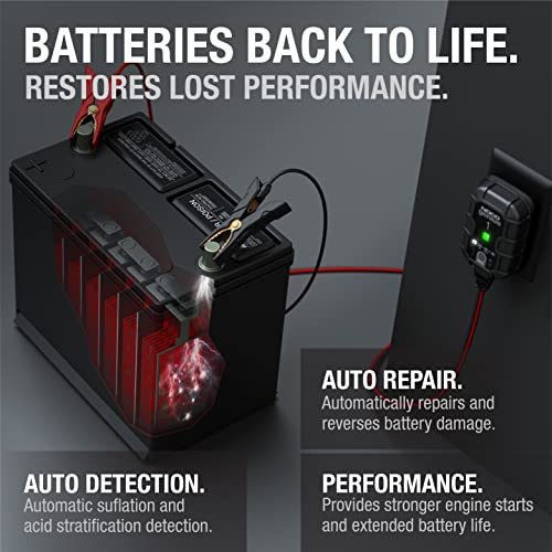 1A 6V/12V Smart Battery Charger D225
