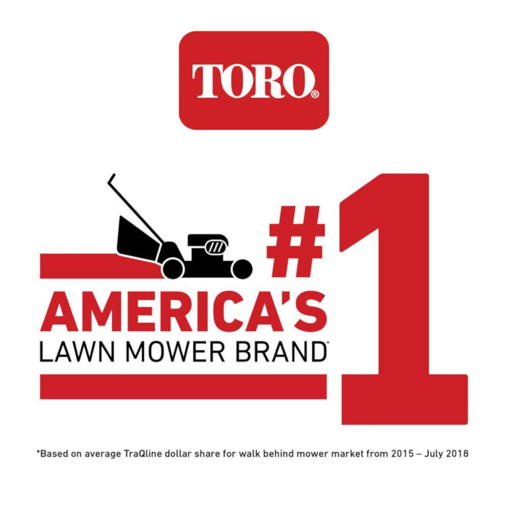 22 in. 163 CC GAS Self-Propelled Lawn Mower C6591