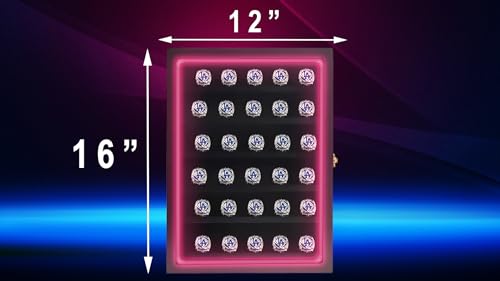 Black 30 Ring Glass Shadow Box with Lock B90317