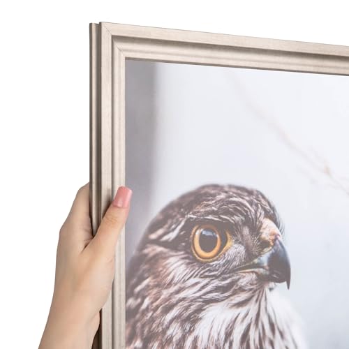 Muted Prosecco Gold Picture Frame Z7853