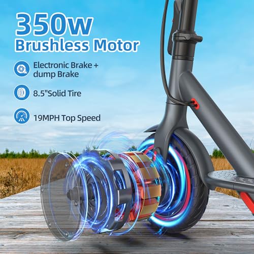 350W Electric Folding Scooter with 8.5" Solid Tires P779757
