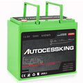 12V 100Ah LiFePO4 Lithium Battery with 100A BMS Z202