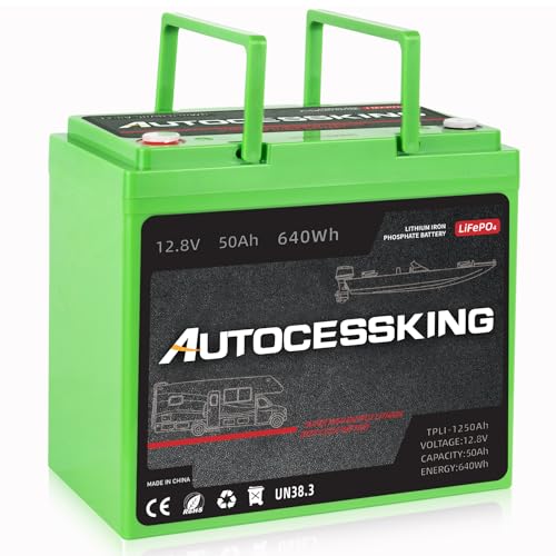 12V 100Ah LiFePO4 Lithium Battery with 100A BMS Z202