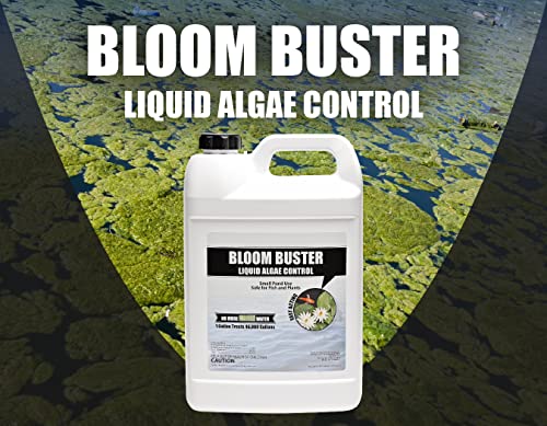 64oz Fast Acting Algaecide H7230