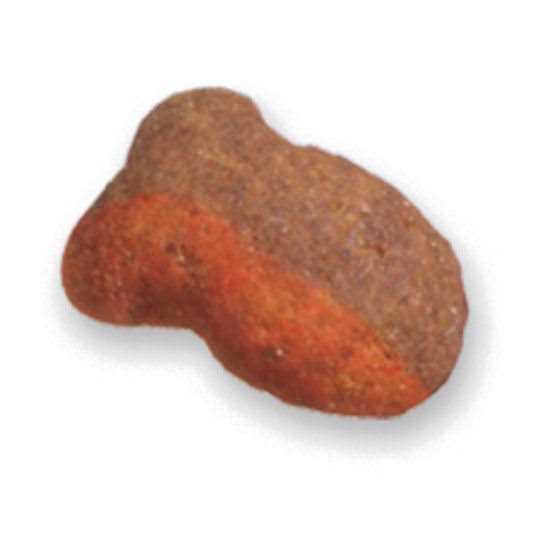 Chicken & Seafood Flavors Crunchy Cat Treats H1184