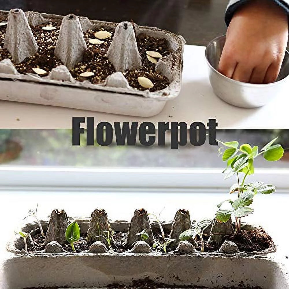 [18 Pack] Printed Pulp Egg Cartons Y132895
