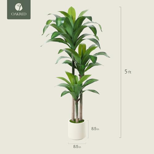 5ft Artificial Dracaena Tree with White Planter G360
