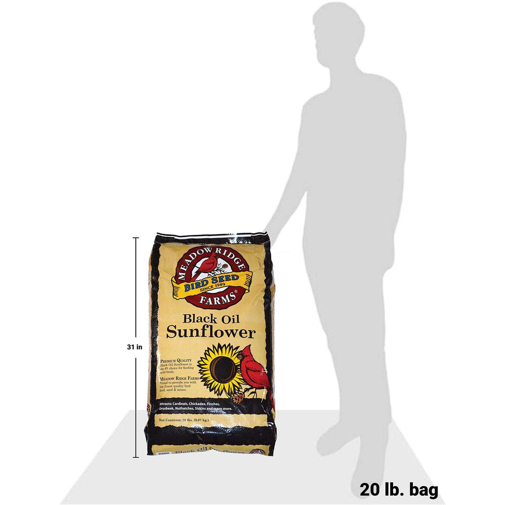 20-Lb. Black Oil Sunflower Bird Seeds L845198