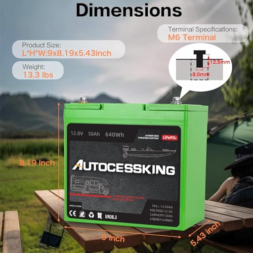 12V 100Ah LiFePO4 Lithium Battery with 100A BMS Z202