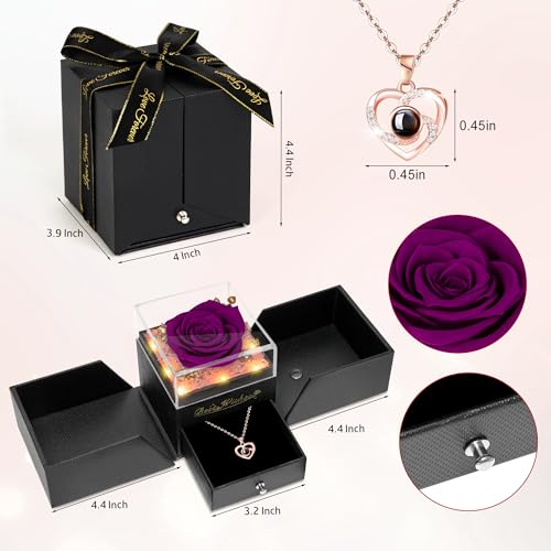 Preserved Red Rose Flower with Necklace and Light A868