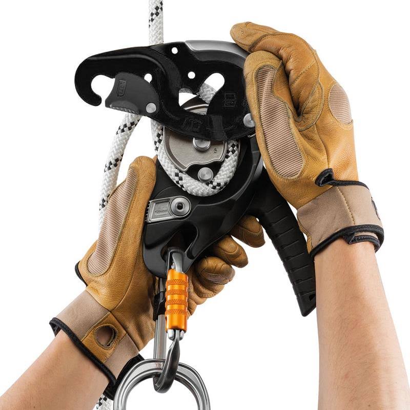 Black Descender F106286
