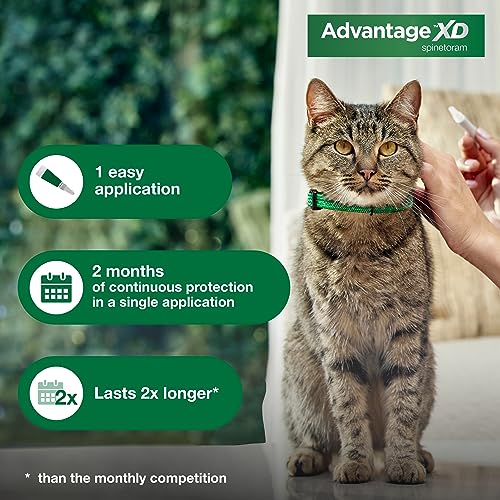 Large Cat Flea Prevention Treatment, 4 Topical Doses A2795