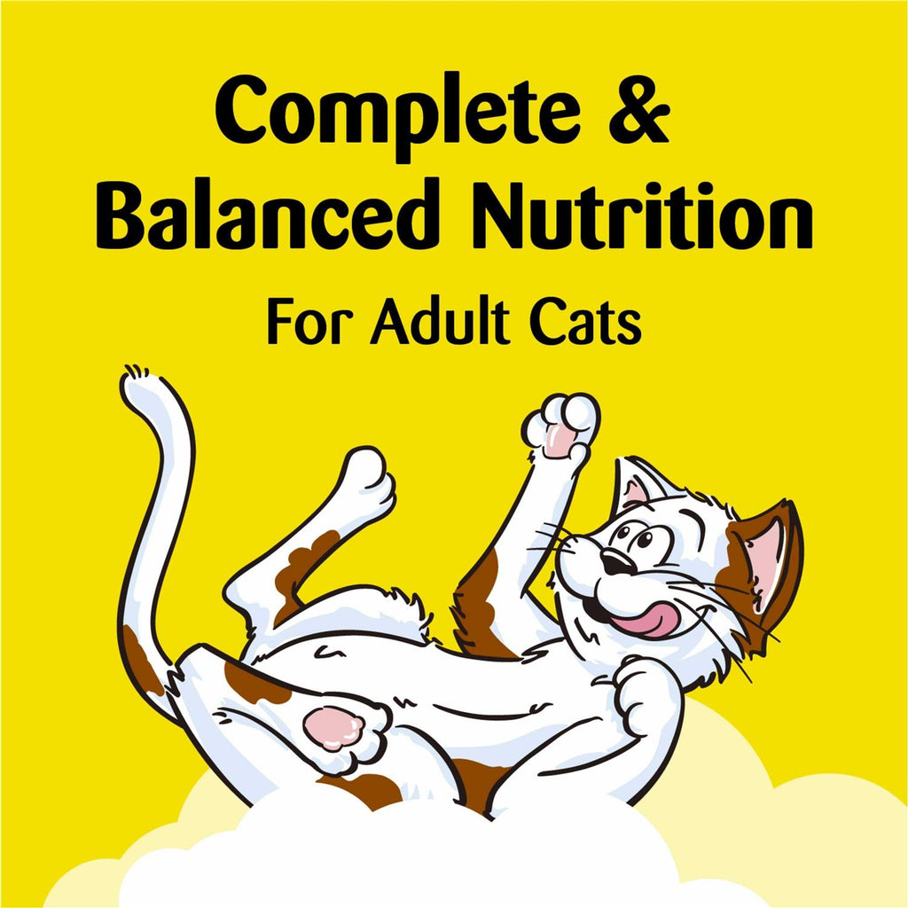 Crunchy and Soft Cat Treats K467
