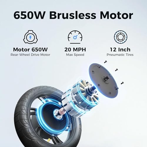 Electric Scooter with Seat, Foldable E-Scooter, Dual Disc Brakes F225