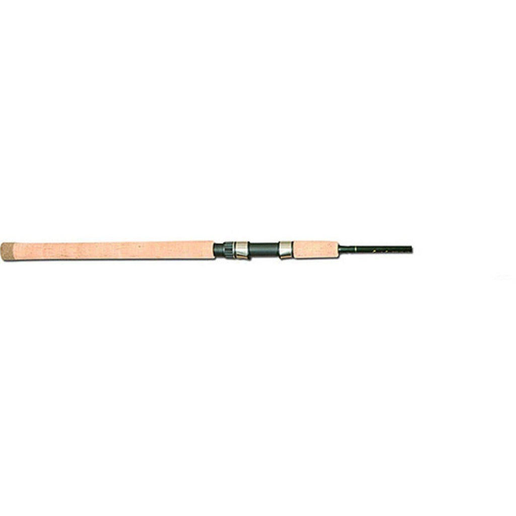 Salmon Steelhead Spinning Rod I809